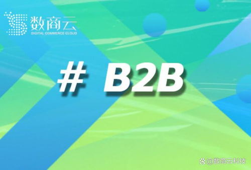 b2b电商交易系统源码 b2b电商交易系统源码提供商 数商云