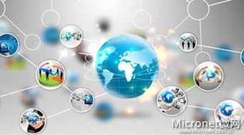 品牌营销的11条真理在B2B批发系统开发中的应用